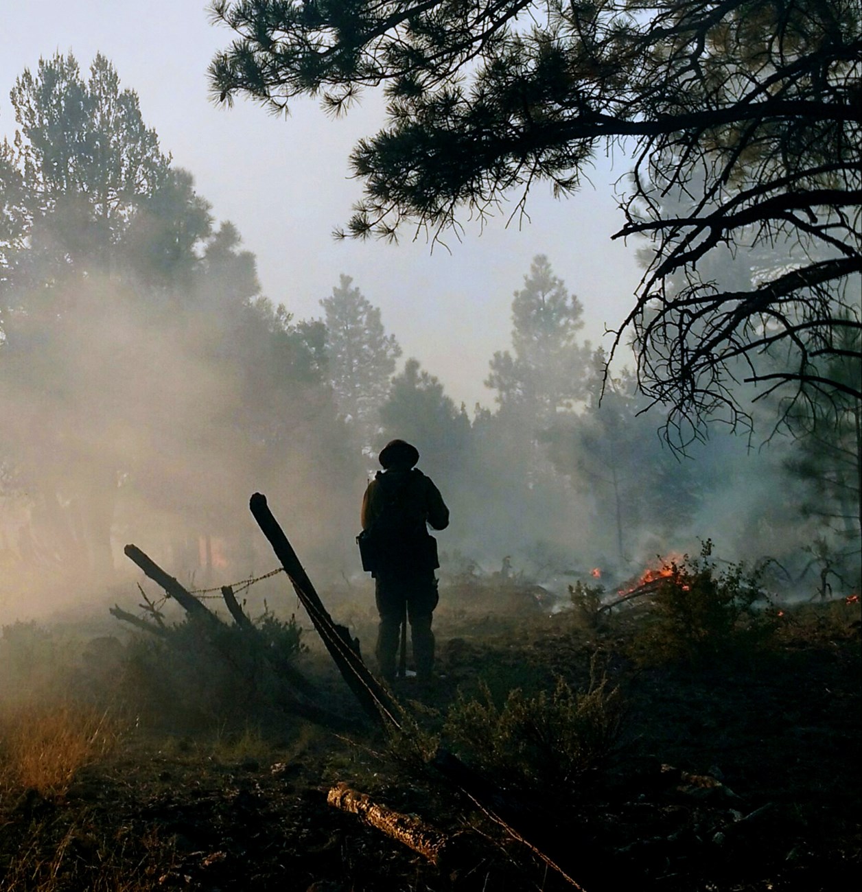 FenceScottCropped Firefighter protects a fence from fire during a prescribed burn