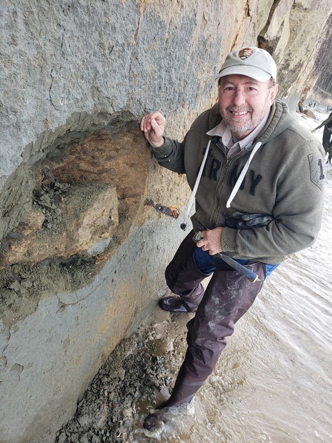 a person standing next a fossil that is exposed in a sandy bluff