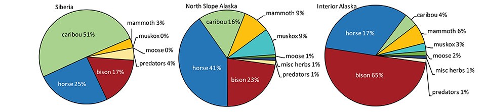 A series of three pie charts that show the species composition in different regions.