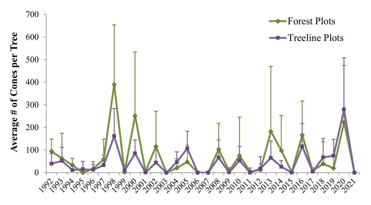 Fig 4 spruce cone production scatter plot chart showing cone production in forest plots and tree plots from 1992 to 2021. 1998, 2000, and 2020 have highest number of cones per tree