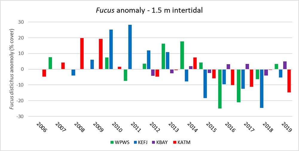 A graph showing percent cover anomalies for rockweed over time.