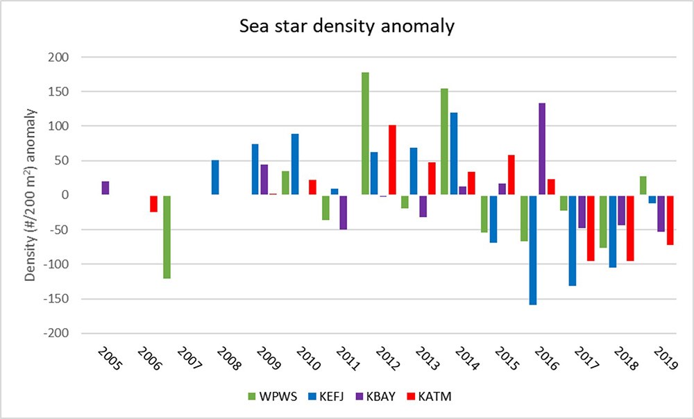 A graph of sea star density anomalies over time.
