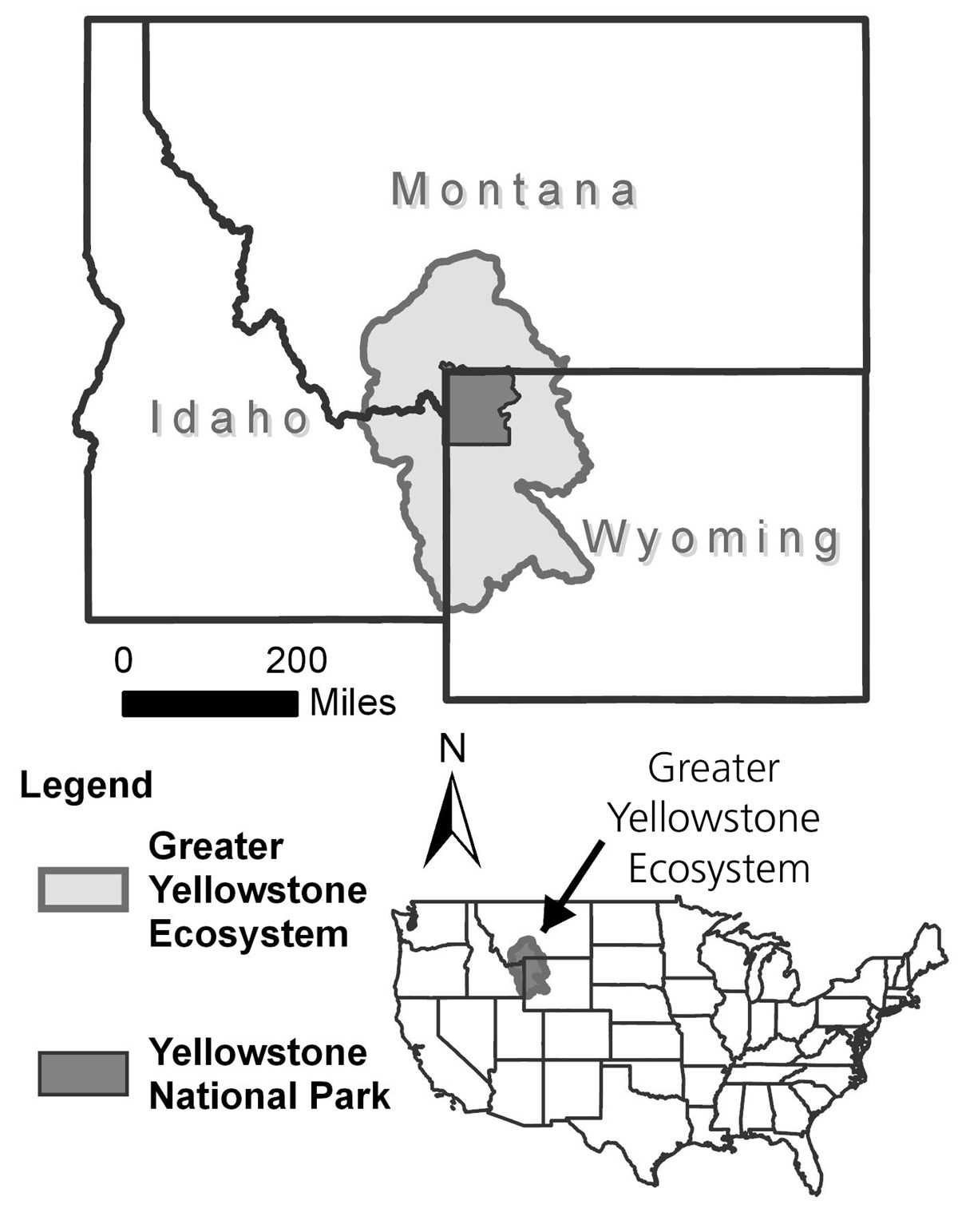 Figure showing monitoring of grizzly bears and whitebark pine.