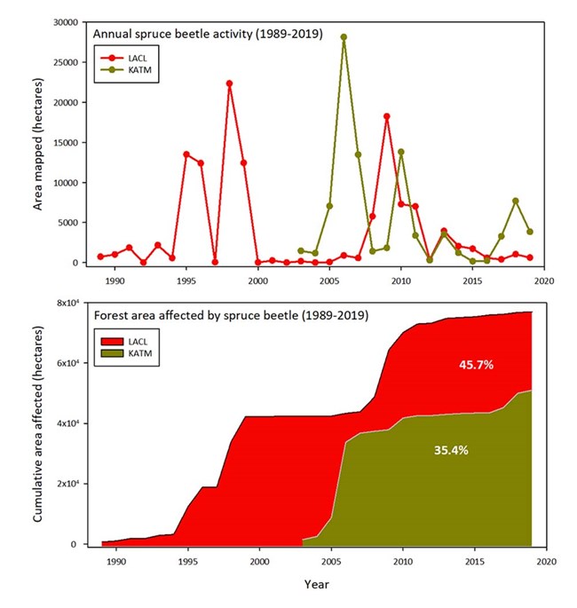 Graphs showing the percentage of forest impacted by beetles.