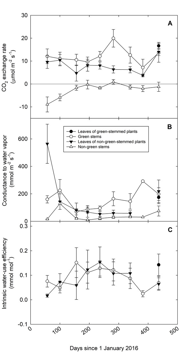 Three graphs showing data for gas exchange parameters taken over a period of 500 days