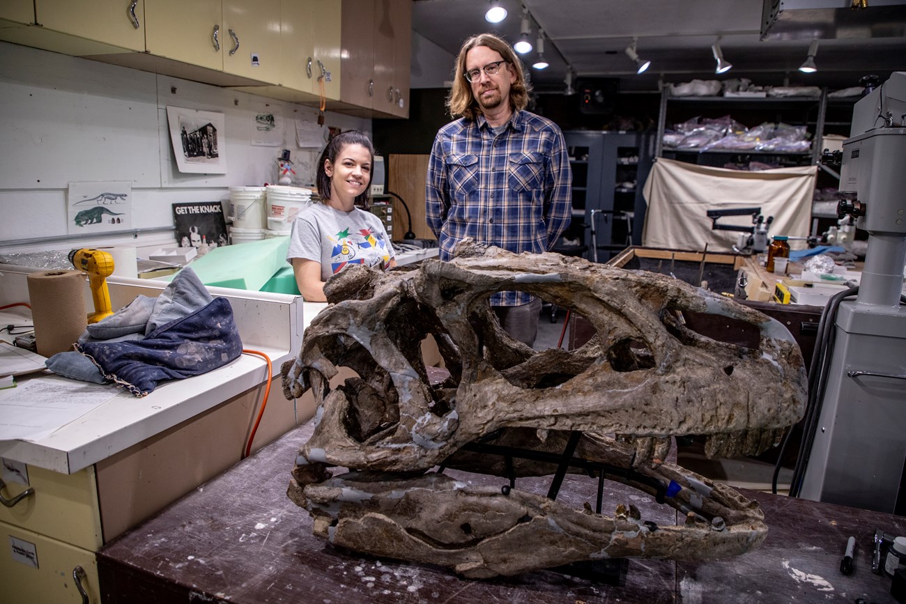 reassembled skull on lab table