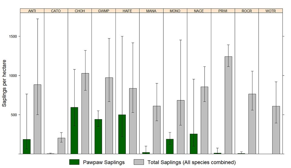 Pawpaw sapling density graph A graph showing sapling density for all species compared to pawpaw