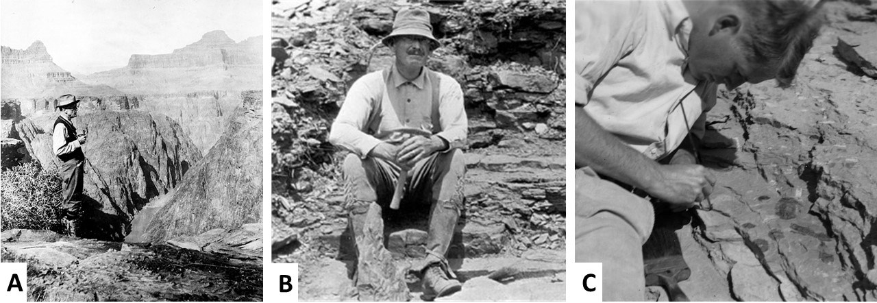 three images of paleontologists