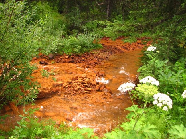Oxidized iron sediments in Soda Butte Creek