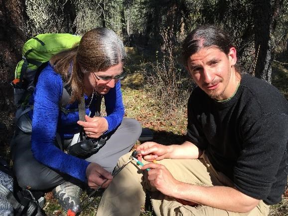 Teachers in Denali count tree rings from a tree core to determine the age of spruce trees.