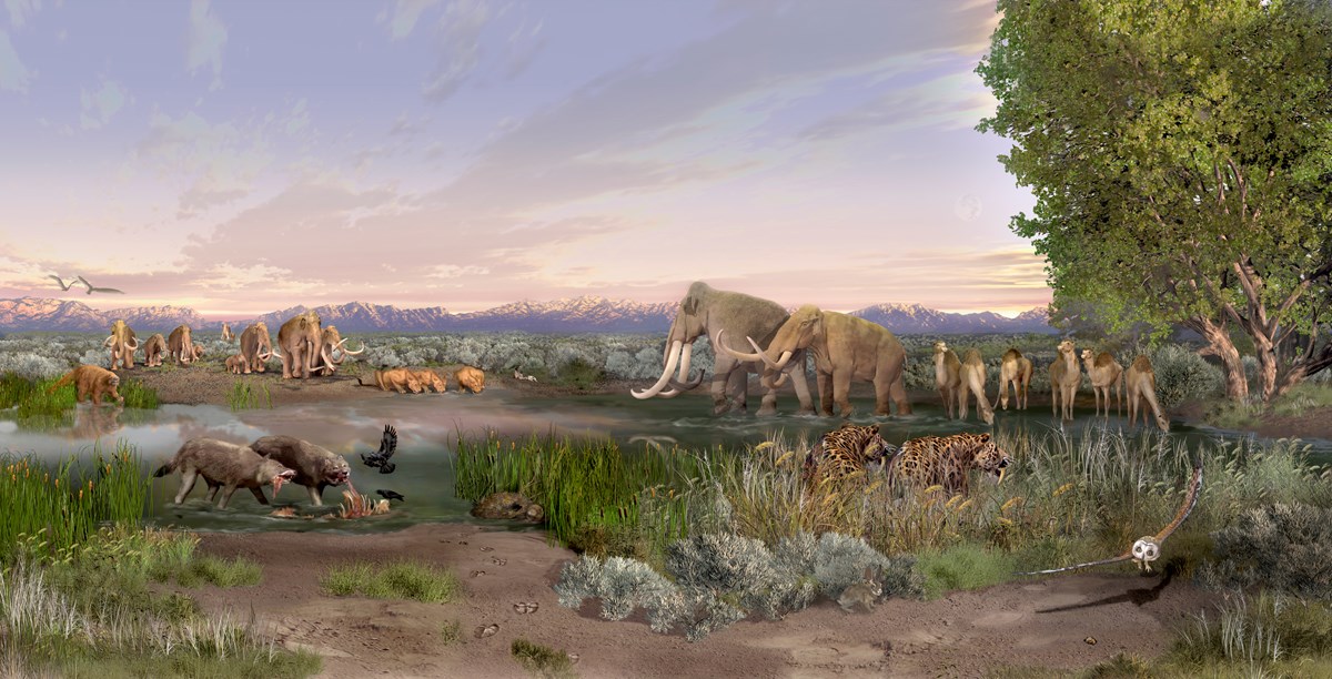 mural of late pleistocene animals