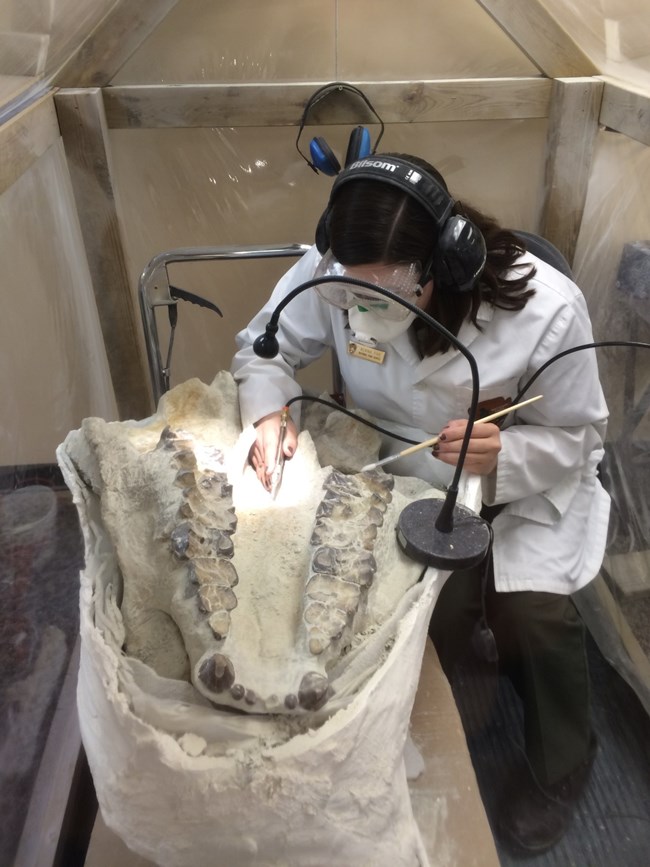 Figure 2 - Lainie Fike working in an oversize preparation chamber