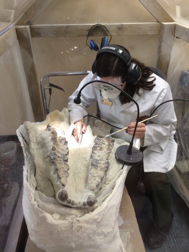 Figure 2 - Lainie Fike working in an oversize preparation chamber Figure 2 - Lainie Fike working in an oversize preparation chamber
