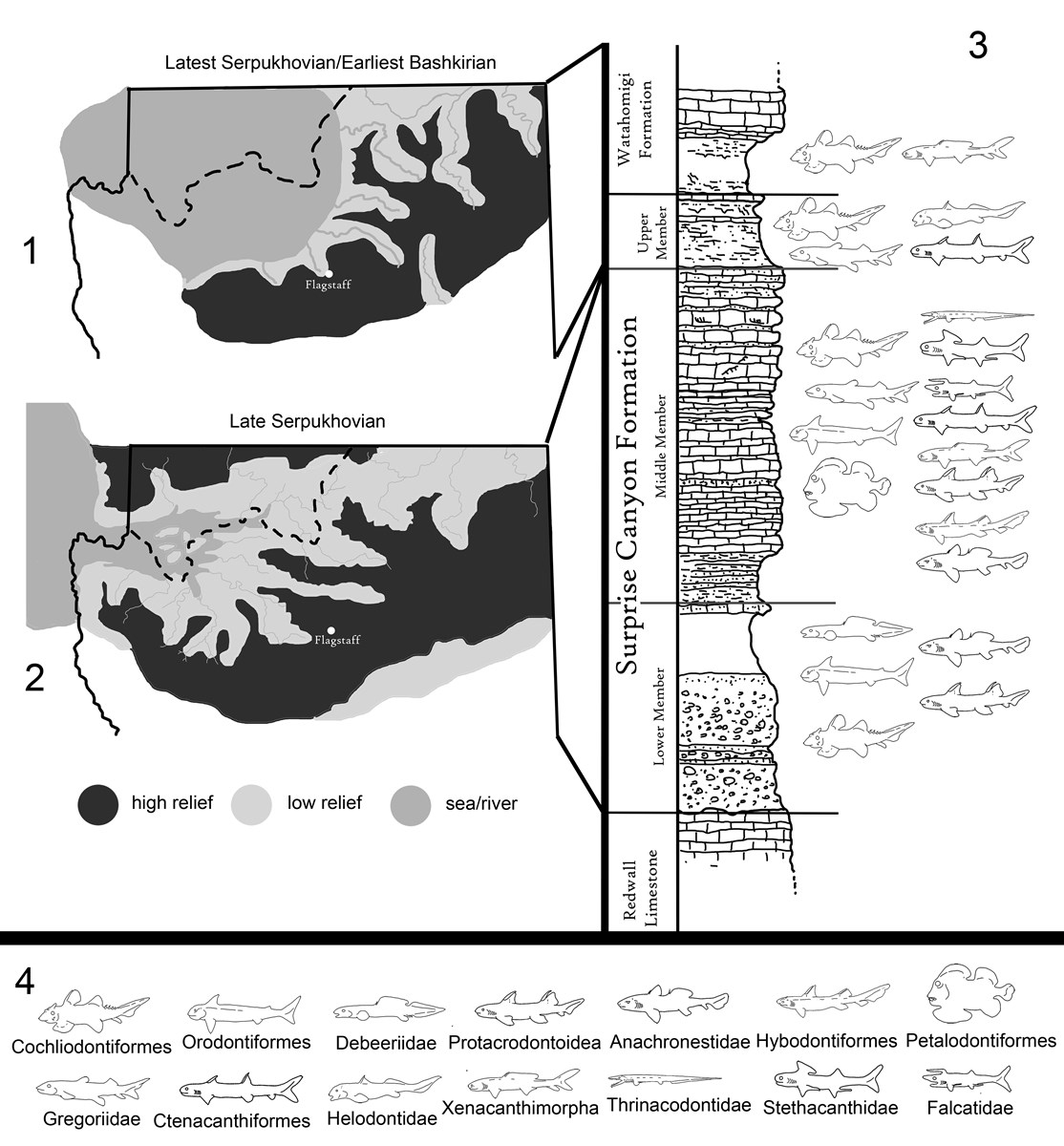 Paleogeography, generalized stratigraphy, and major taxonomic groups of chondrichthyans from the Surprise Canyon and Watahomigi Formations at the Grand Canyon