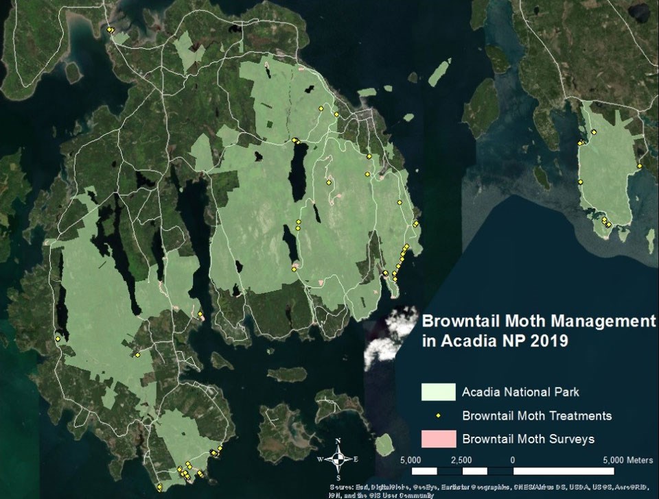 Map of Browntail Moth Management in Acadia