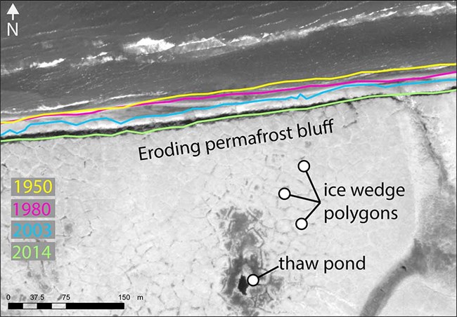 A combination of imagery and legend that shows the erosion of the coastline from 1950 to 2014.