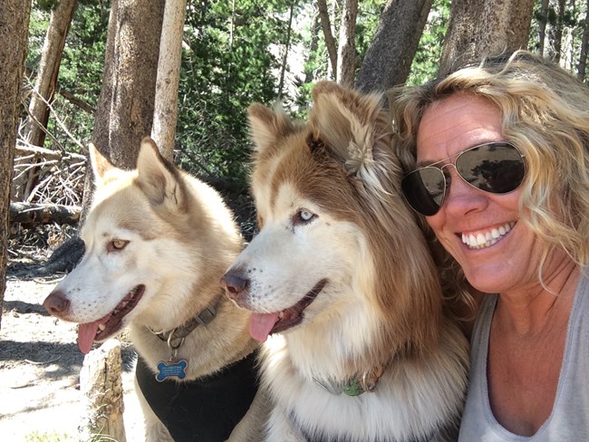 geologist with two dogs