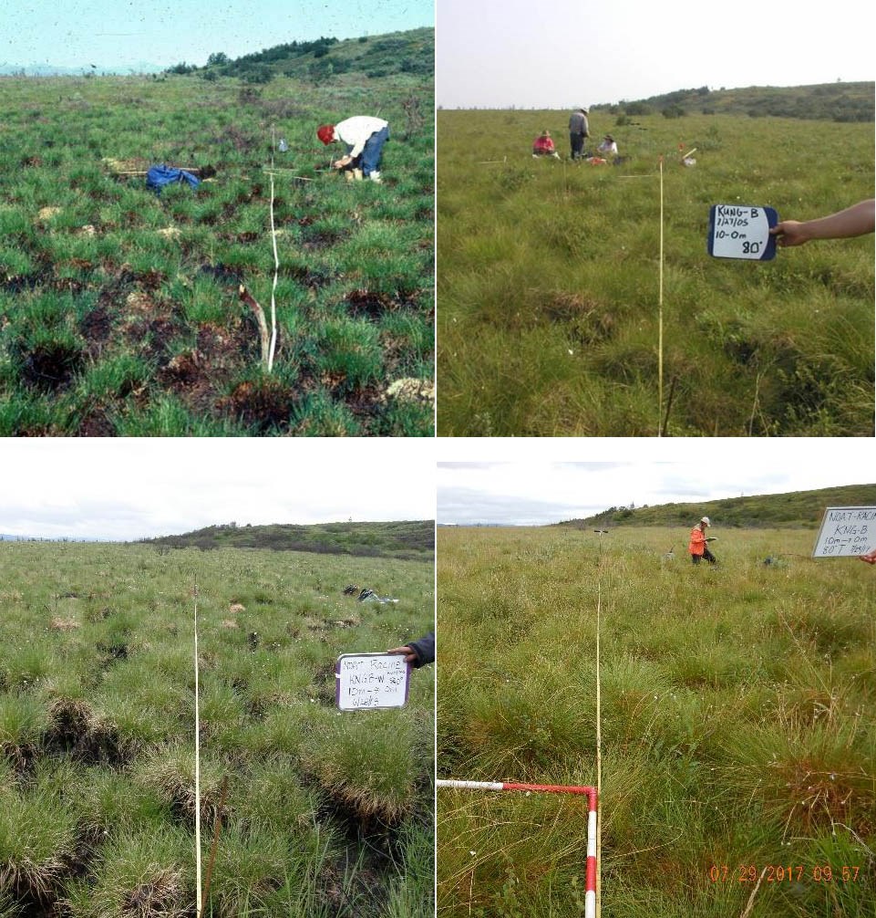 Four pictures depicting the Kungiakrok burn site.