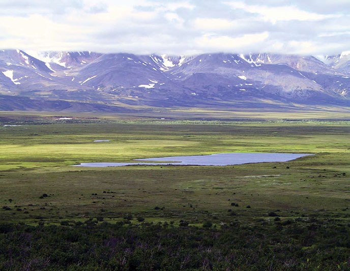 Barbarians at the Gate Fig 1 Vast open landscape of Beringia