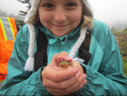 A volunteer holding a frog. A girl holds a frog up in her clasped hands.
