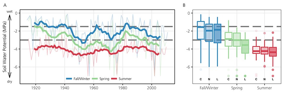 : Two part graph. Left: Line graph of soilwater potential by season (1920 to 2000). Seasons are: Fall/Winter, Spring and Summer. Right: Box plot of soilwater potential by season for the current), near future and long-term future.