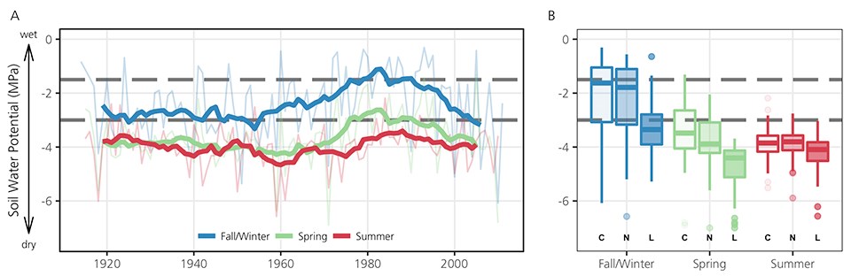 Historical (A) and future projections (B) of soil water potential (SWP) in the sandy loam upland grassland ecosystem in Petrified Forest National Park.
