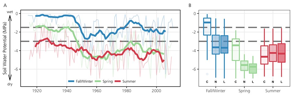 Two part graph. Left: Line graph of soil water potential by season (1920 to 2000). Seasons are: Fall/Winter, Spring and Summer. Right: Box plot of soil water potential by season for the current, near future and long-term future.