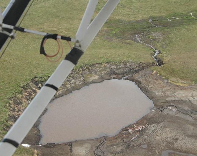 Figure 3. Aerial photograph of a channel carved into the tundra after rapid and catastrophic lake drainage of a Yellow-billed Loon nesting lake in June 2018, Bering Land Bridge National Preserve. NPS photo by Jared Hughey.