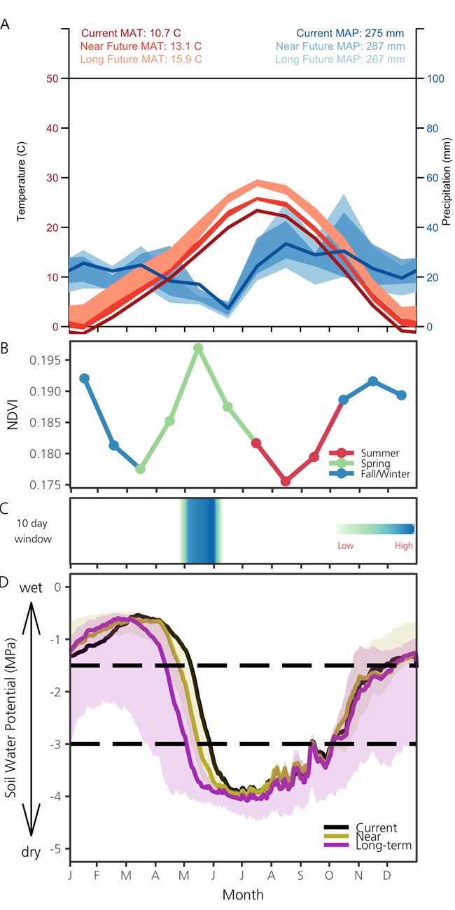 3A-Current and predicted temperature and precipitation; 3B-Monthly mean for NDVI (2001–2014); 3C- periods when soil moisture is related to changes in vegetation productivity; 3D-Average daily SWP for the current period, near future, and long-term future.