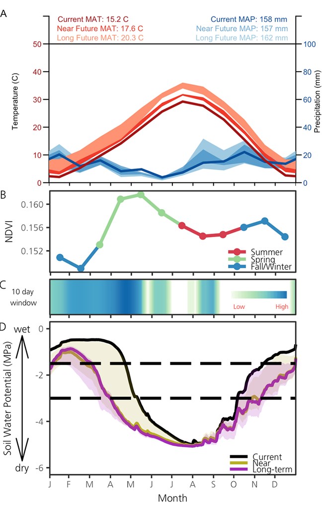 - 3A-Current and predicted temperature and precipitation; 3B-Monthly mean for NDVI (2001–2014); 3C- periods when soil moisture is related to changes in vegetation productivity; 3D-Average daily SWP for the current period, near future, and long-term future