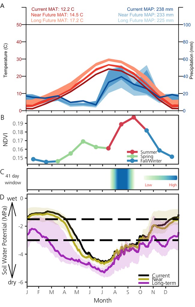 3A-Current and predicted temperature and precipitation; 3B-Monthly mean for NDVI (2001–2014); 3C- periods when soil moisture is related to changes in vegetation productivity; 3D-Average daily SWP for the current period, near future, and long-term future.