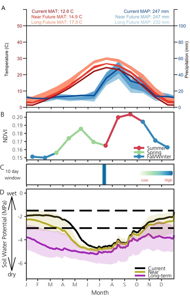 3A-Current and predicted temperature and precipitation; 3B-Monthly mean for NDVI (2001–2014); 3C- periods when soil moisture is related to changes in vegetation productivity; 3D-Average daily SWP for the current period, near future, and long-term future.