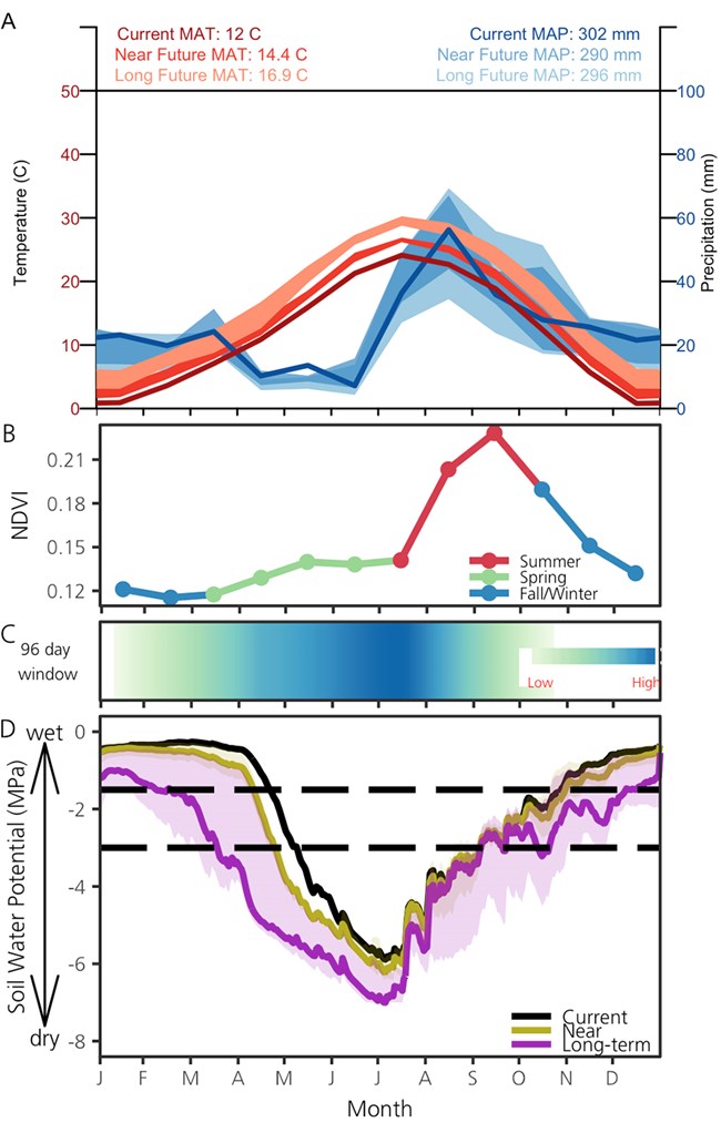 3A-Current and predicted temperature and precipitation; 3B-Monthly mean for NDVI (2001–2014); 3C- periods when soil moisture is related to changes in vegetation productivity; 3D-Average daily SWP for the current period, near future, and long-term future.