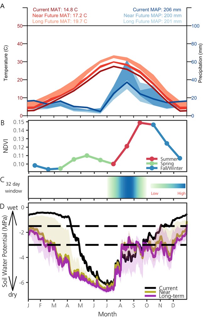 - 3A-Current and predicted temperature and precipitation; 3B-Monthly mean for NDVI (2001–2014); 3C- periods when soil moisture is related to changes in vegetation productivity; 3D-Average daily SWP for the current period, near future, and long-term future