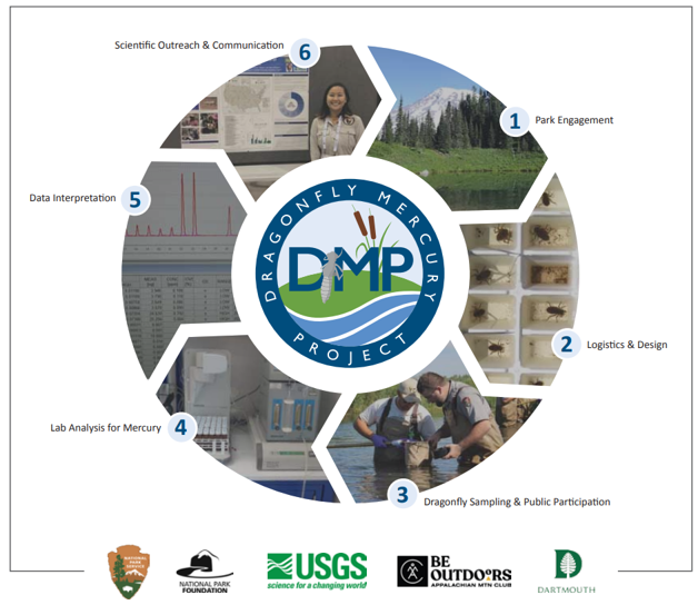 Wheel made of 6 images titled Park Engagement, Logistics & Design, Dragonfly Sampling & Public Participation, Lab Analysis for Mercury, Data Interpretation, and Scientific Outreach & Communication.