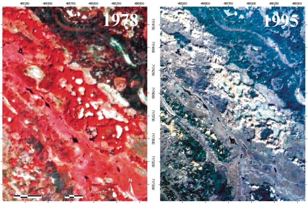 Figure 12 Figure 12 (description follows)
