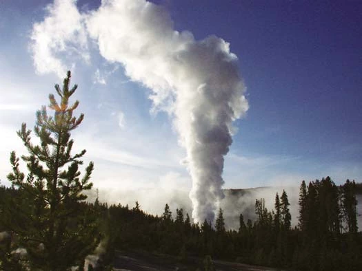 Figure 16 Figure 16 (description follows)