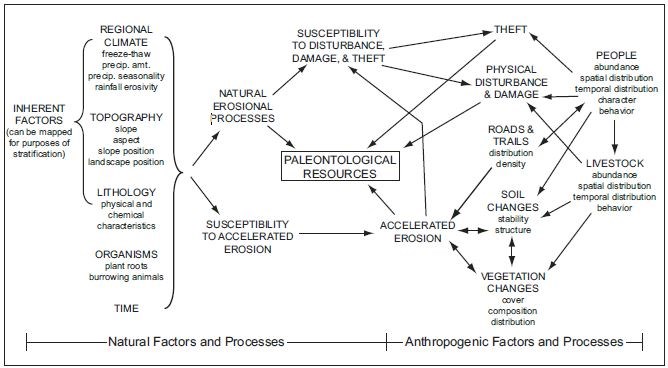 Figure 1 (description follows)