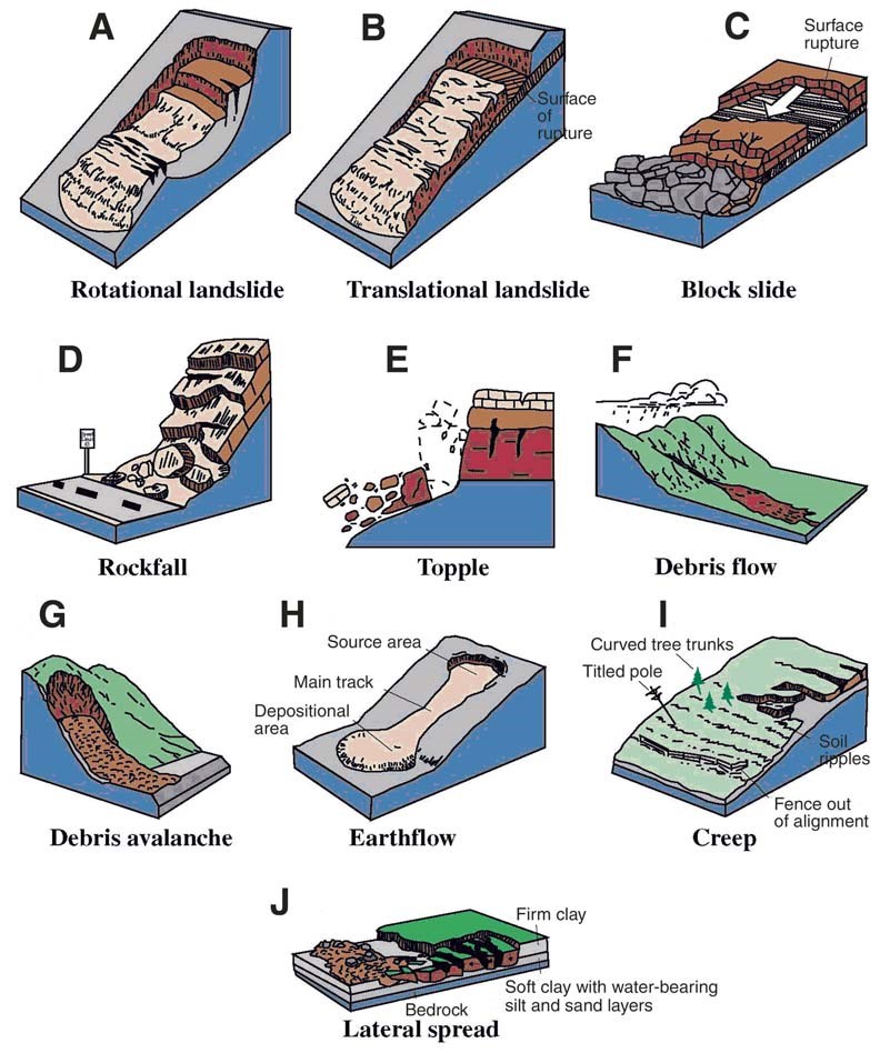 Figure 1 (description follows)