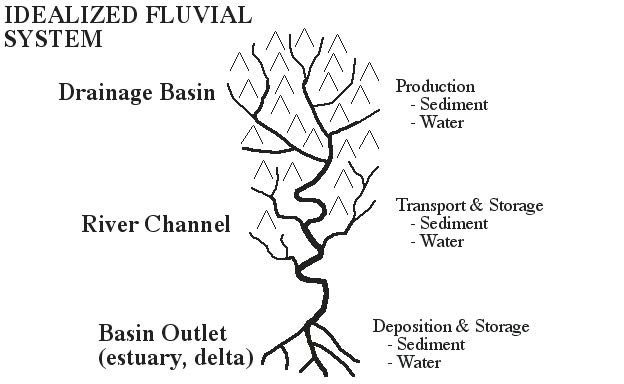 Figure 1 Figure 1 (description follows)