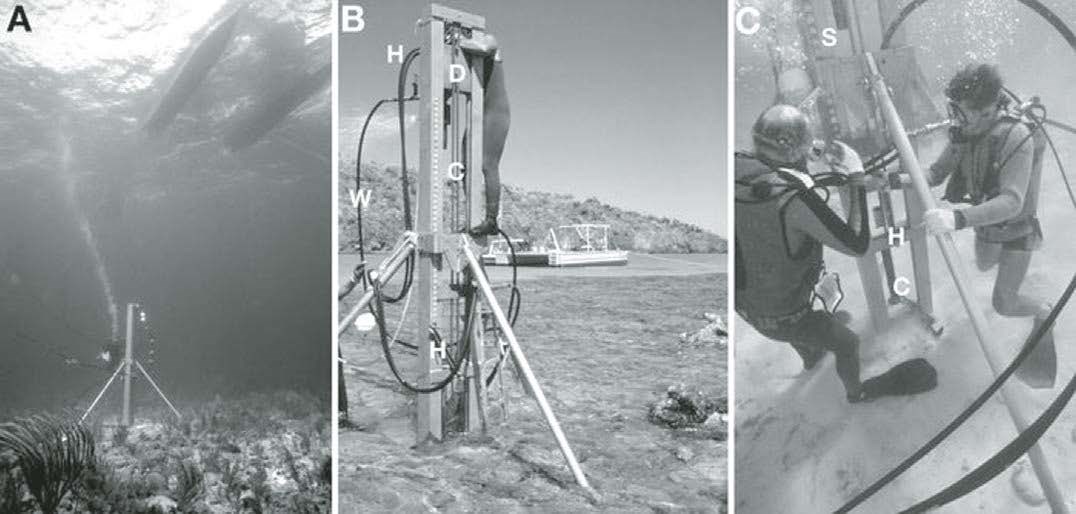 Marine GeoMonitoring Figure 22 Figure 22 (description follows)