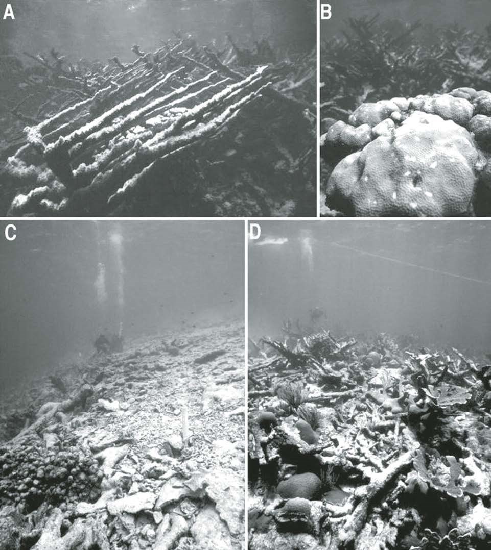 Marine GeoMonitoring Figure 23 Figure 23 (description follows)