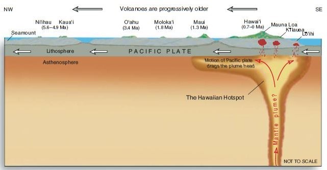 Figure 3 (description follows)