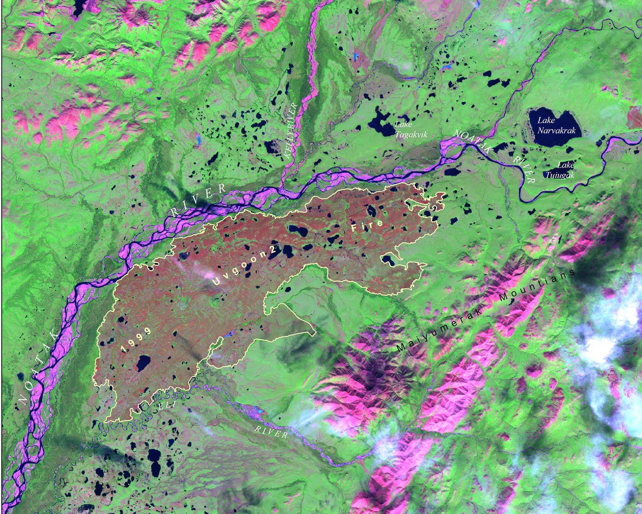 A glaringly bright satellite image with intense neon greens and fuchsia colors.