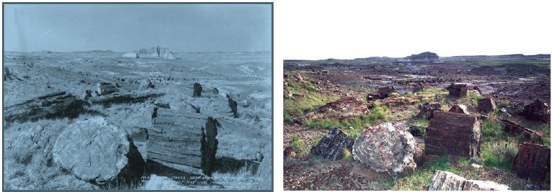 Figure 6 (description follows)