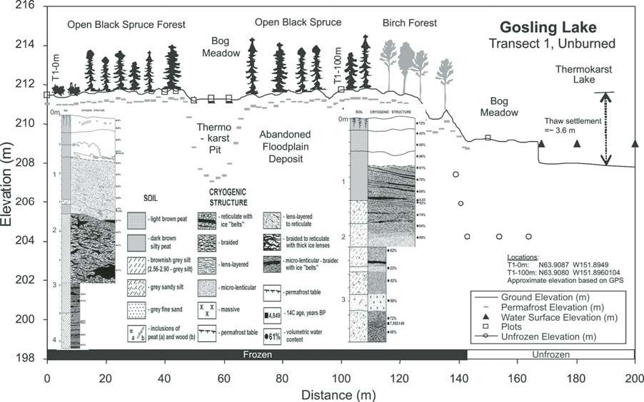 Figure 6 (description follows)