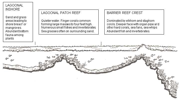 Marine GeoMonitoring Figure 7 Figure 7 (description follows)