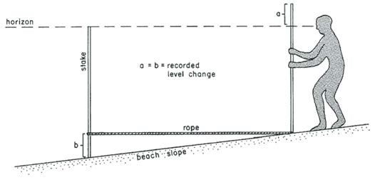 Figure 8 Figure 8 (description follows)