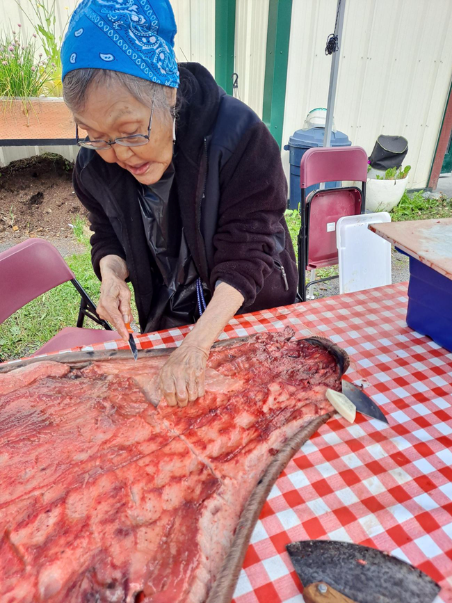 An Elder woman delicately cuts seal fat from a hide laid out
