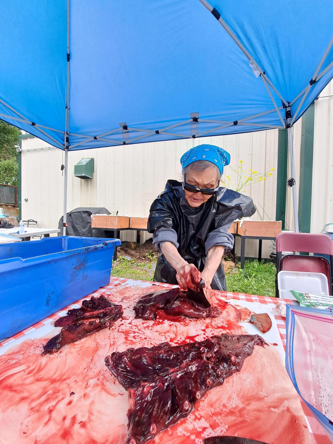 An Elder cuts pieces of seal rib from the hide